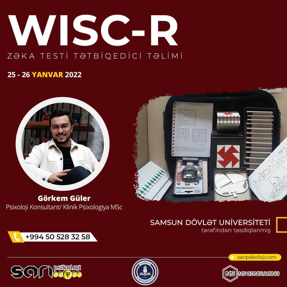 WISC-R Zeka Testi Eğitimi